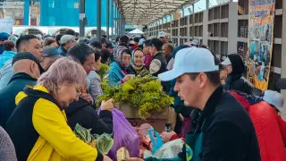 Жамбылские аграрии представили 300 тонн продуктов на столичной ярмарке