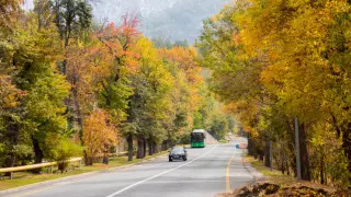 Заморозки придут в Казахстан