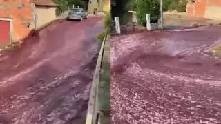 Улицы в португальском городе накрыла река из вина