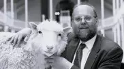 Умер клонировавший овечку Долли ученый