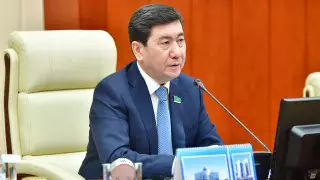 Пришли более опытные - спикер Мажилиса о смене членов правительства