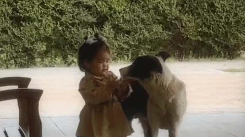 Кадры из видео