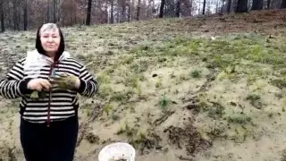 Женщина-грибник сутки плутала в области Абай