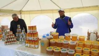 Кызылординские фермеры представят свою продукцию в Астане