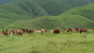 Туманы, грозы и заморозки до 1 градуса: погода в Казахстане на 19 сентября