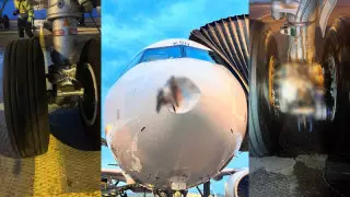 Последствия столкновения самолета с птицами показали в Air Astana