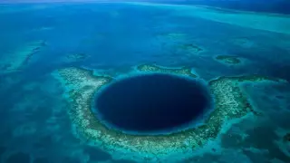 Микробиологи обнаружили ранее неизвестный вирус в Марианской впадине