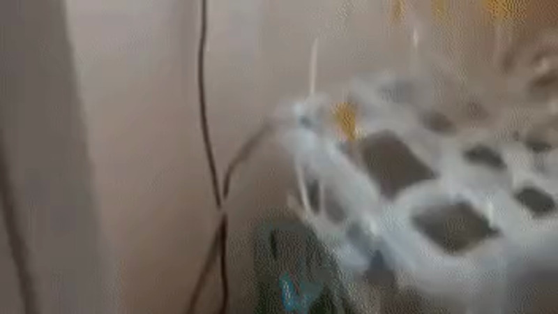 Кадры из видео