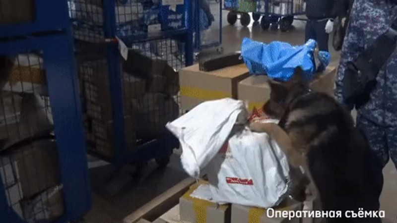 Кадры из видео