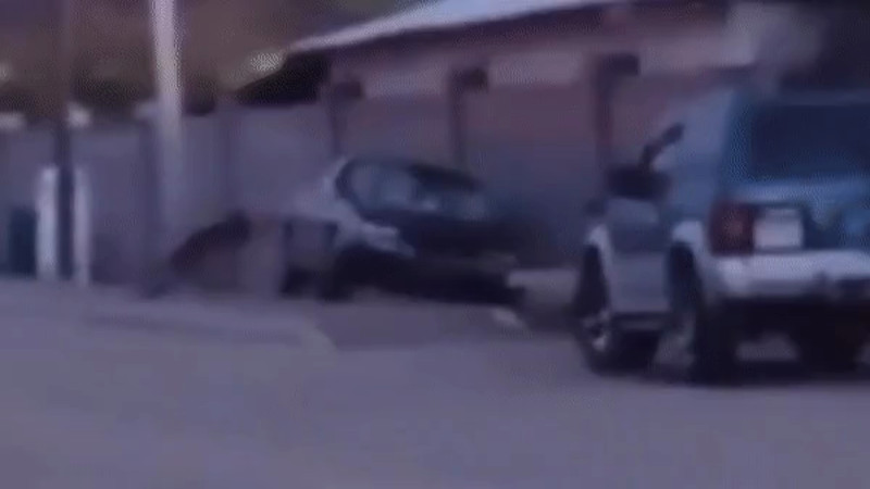 Кадры из видео