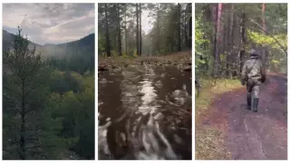 Ушедшую в лес за грибами женщину нашли мертвой в Каркаралинске