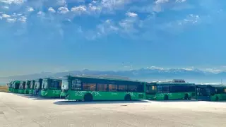 Еще одно кладбище? О скоплении автобусов на окраине Алматы высказались в акимате