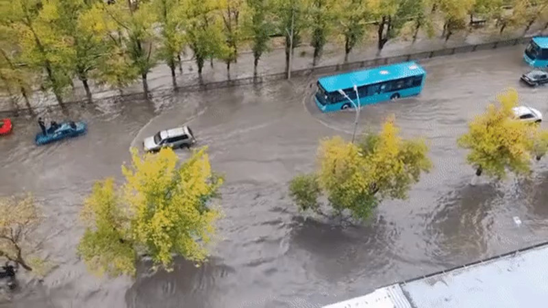 Кадры из видео