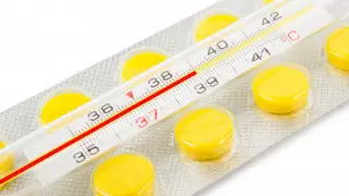 В Алматы растет количество заболевших ОРВИ. Какой вирус "гуляет" в городе?