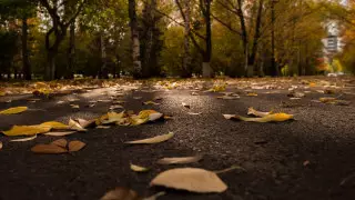 Какая погода ожидает казахстанцев 1 октября