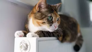 Названы регионы, где начали подключать отопление в Казахстане