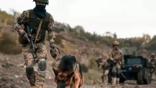 Что произошло в Украине ночью 3 октября