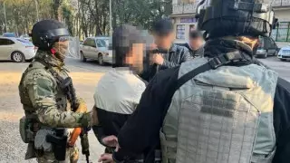 КНБ: задержан подозреваемый в пропаганде терроризма в Алматинской области