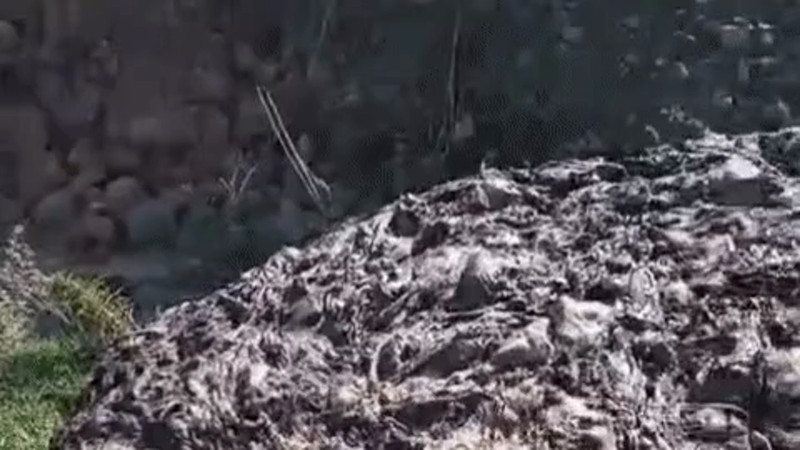 Кадры из видео