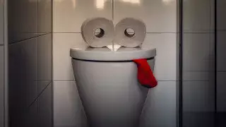 Сотрудник отеля призвал туристов всегда проверять туалет в номере: вот почему