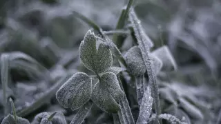 Морозы до 5 градусов и снег придут в Казахстан