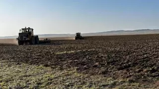 В Карагандинской области восстанавливают деградированные пастбища