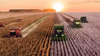 В Туркестанской области субсидируют расходы тепличных комплексов