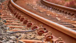 Смерть студента в Щучинске: полиция завела 2 дела после поручения Токаева