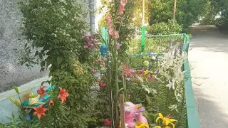 “Отбили охоту у людей“. Аким Рудного - о скандале с цветами на государственной земле