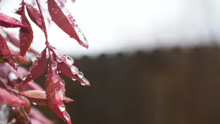 Холодные и дождливые выходные ожидаются в Казахстане