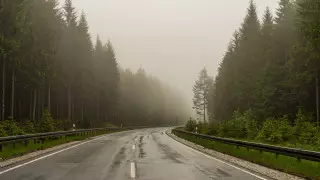 О тумане на дорогах предупредили водителей в ВКО