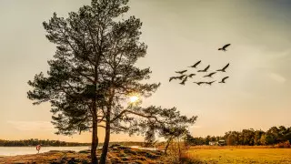 Морозы до 6 градусов и туманы: погода в Казахстане на 17 октября