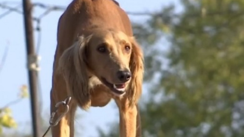 Кадр из видео "КТК".