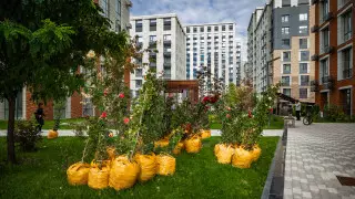 "Сделаем каждый двор зеленым": акция BI Green прошла в Алматы