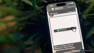 Читайте и делитесь! У Tengrinews.kz появился канал в WhatsApp