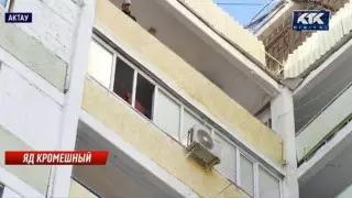 Травля клопов в Актау: найдены неизвестные таблетки