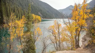 В Казахстан вернется тепло до 20 градусов