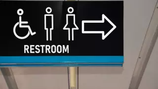 Тревел-эксперт рассказала о популярной ошибке при пользовании туалетом в аэропорту