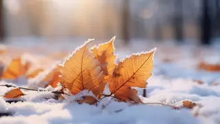 Морозы, метели и гололед: погода в Казахстане на 1 ноября