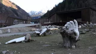 Проект "КОРНИ": Создание символа гармонии между человеком и природой