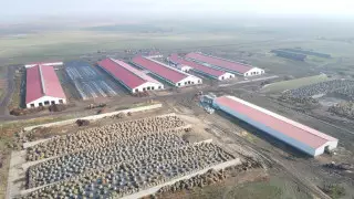 Развитие молочного скотоводства в СКО продолжает набирать обороты