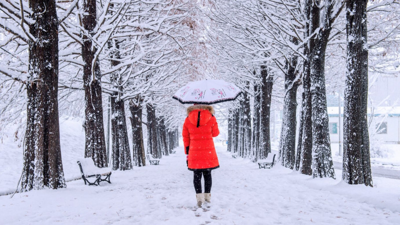 Изображение от Freepik