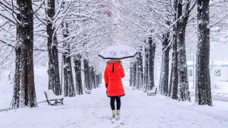 Туманы и гололед: погода в Казахстане на 2 ноября