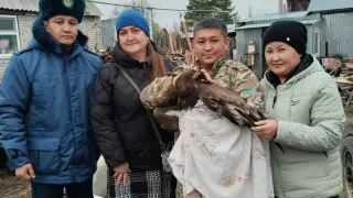 Житель Костанайской области спас краснокнижного степного орла
