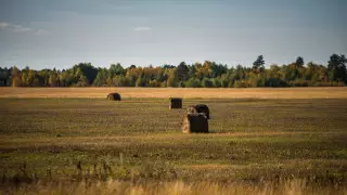 В Карагандинской области нарушения в земельном законодательстве выявляют с помощью специальной платформы