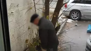 Жительница Кокшетау просит наказать мужчину, ежедневно справляющего нужду в одном и том же месте