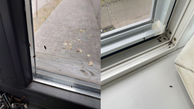 Фото Tengrinews.kz