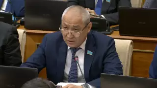 "Приходите без подготовки". Правительству сделали замечание в Мажилисе