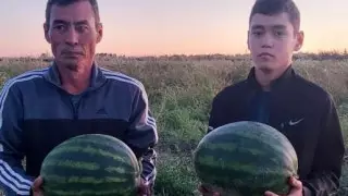 "Бағасы - 150 мың теңге". Шылаушынды табыс көзіне айналдырған кәсіпкер