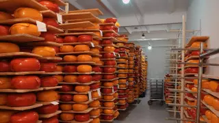 Натуральный продукт: Как предприниматели развивают сельское хозяйство в области Абай